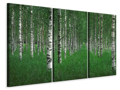 5-piece-canvas-print-the-tunnel