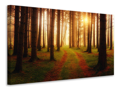 3-piece-canvas-print-the-unknown-way