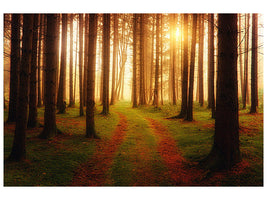 4-piece-canvas-print-the-unknown-way