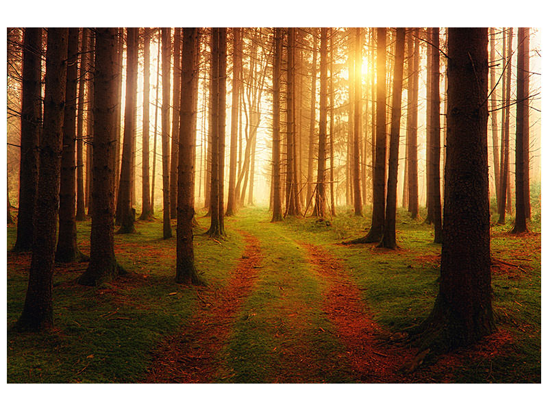 4-piece-canvas-print-the-unknown-way