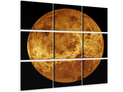4-piece-canvas-print-the-venus