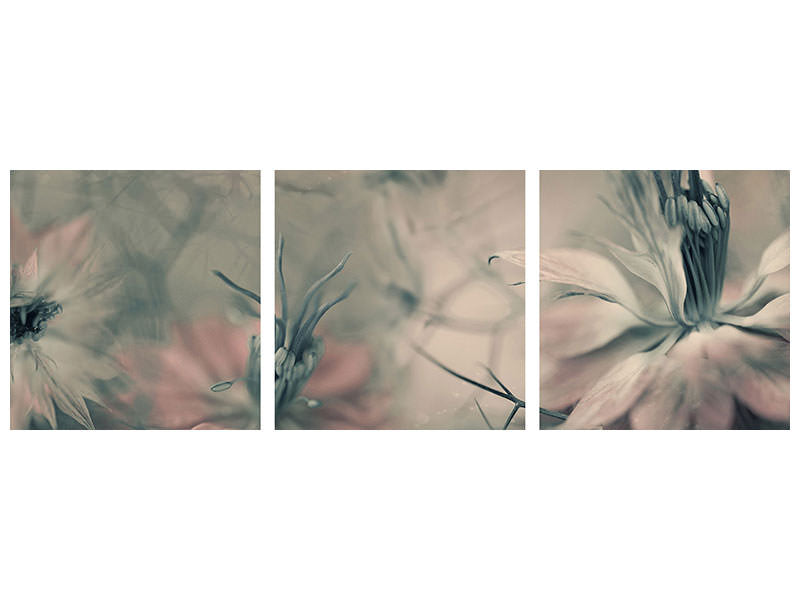 modern-4-piece-canvas-print-the-virgins-ll