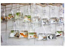 3-piece-canvas-print-the-wall-of-fish