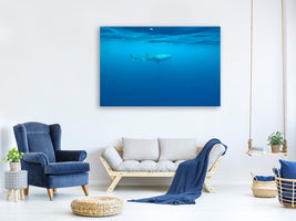4-piece-canvas-print-the-whale-shark