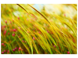 modern-4-piece-canvas-print-the-wheat-field