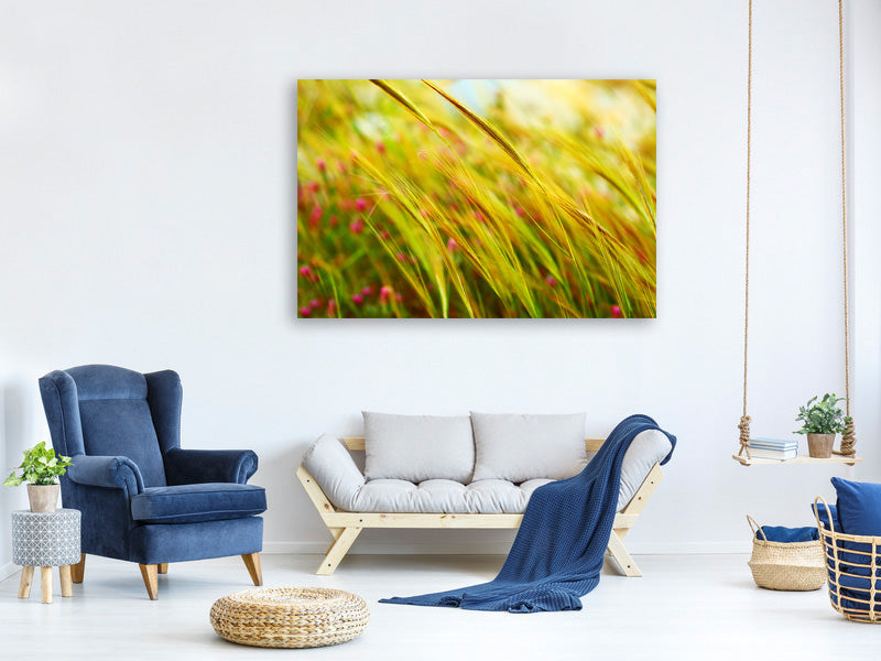 panoramic-canvas-print-the-wheat-field