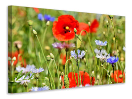 3-piece-canvas-print-the-wild-poppy-xl