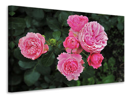 3-piece-canvas-print-the-wild-roses-in-pink