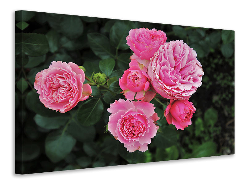 3-piece-canvas-print-the-wild-roses-in-pink