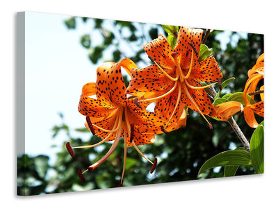 3-piece-canvas-print-the-wild-tiger-lilies