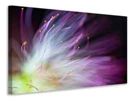 3-piece-canvas-print-the-will-o-the-wisp