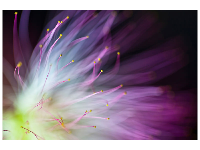 panoramic-3-piece-canvas-print-the-will-o-the-wisp