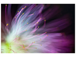 modern-4-piece-canvas-print-the-will-o-the-wisp