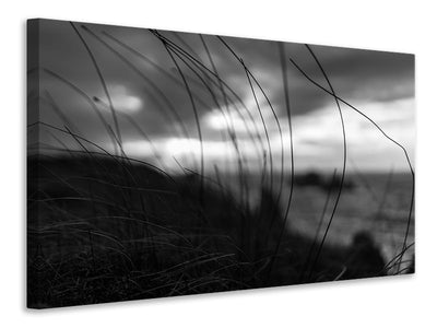 5-piece-canvas-print-the-wind-brings-the-night