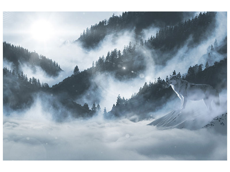 3-piece-canvas-print-the-wolf-in-the-woods