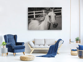 3-piece-canvas-print-there-is-a-horse