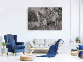 3-piece-canvas-print-three-cats