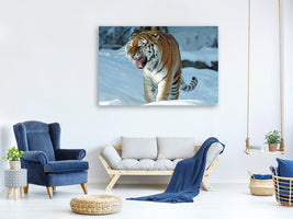 3-piece-canvas-print-tiger-in-the-snow