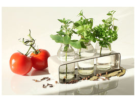 modern-4-piece-canvas-print-tomatoes-and-herbs