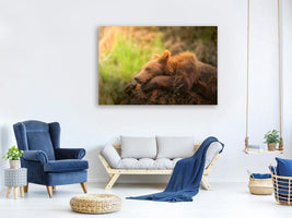 canvas-print-top-model-x