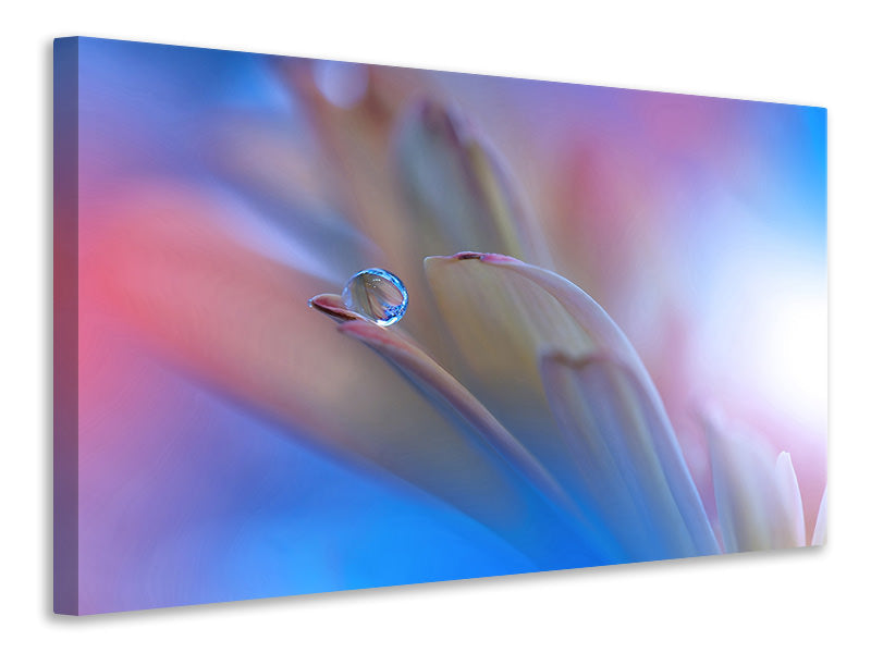 4-piece-canvas-print-touch-me-softly