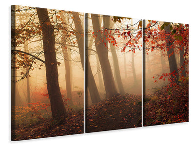 panoramic-canvas-print-towards-the-light