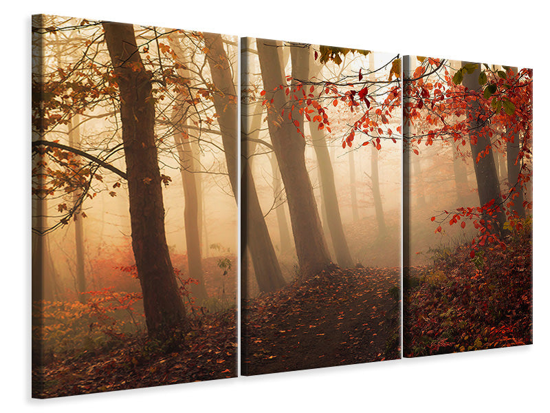 5-piece-canvas-print-towards-the-light