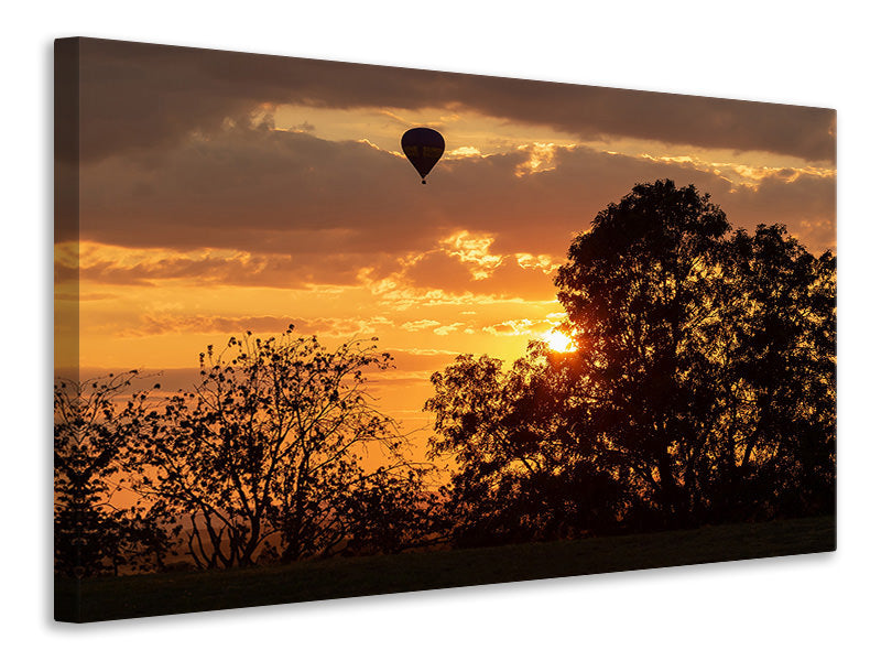 canvas-print-gentle-flight-over-the-landscape