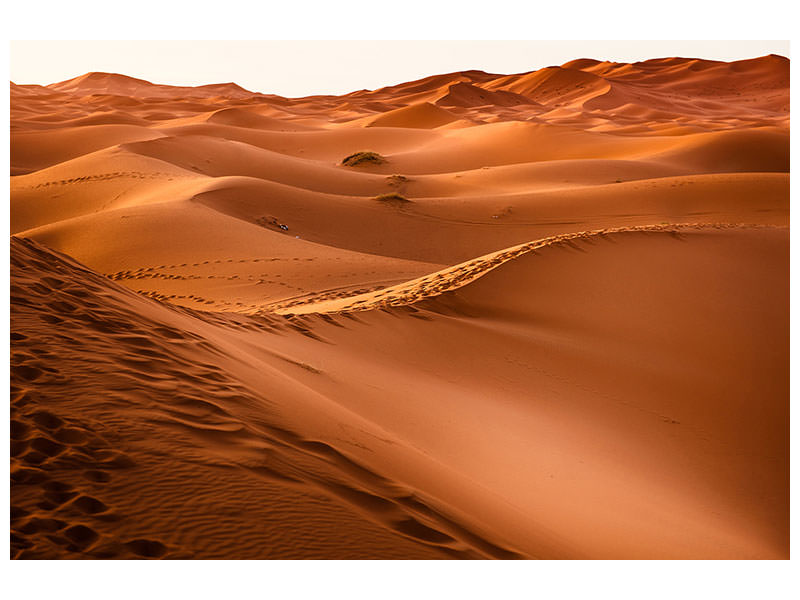 3-piece-canvas-print-traces-in-the-desert