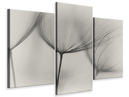 modern-4-piece-canvas-print-tragopogon