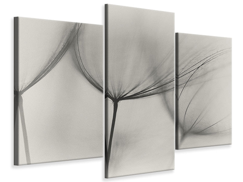 modern-4-piece-canvas-print-tragopogon