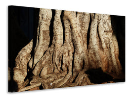 3-piece-canvas-print-tree-close-up