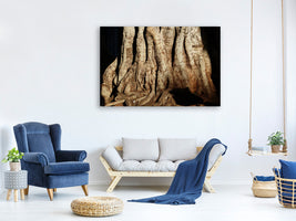 3-piece-canvas-print-tree-close-up