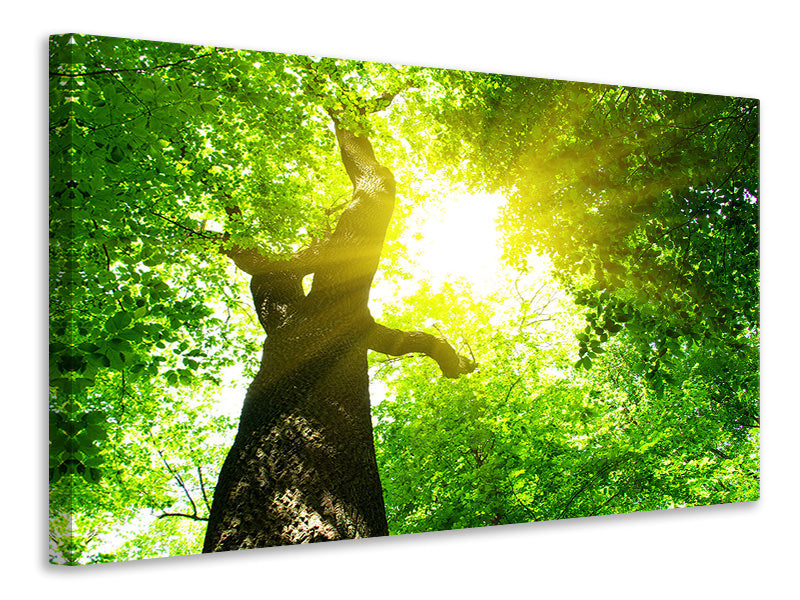 modern-4-piece-canvas-print-tree