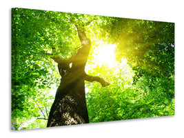 4-piece-canvas-print-tree