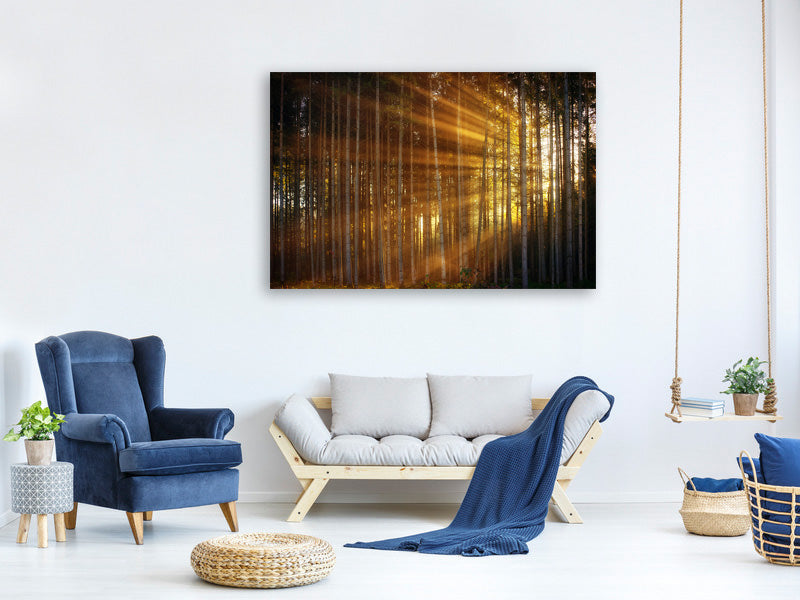 modern-3-piece-canvas-print-trees-in-sunbeams