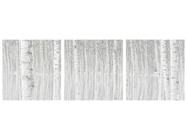 4-piece-canvas-print-trees