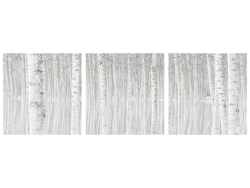canvas-print-trees