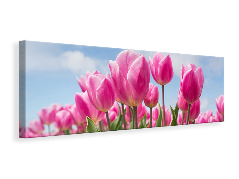 3-piece-canvas-print-tulip-field-in-pink