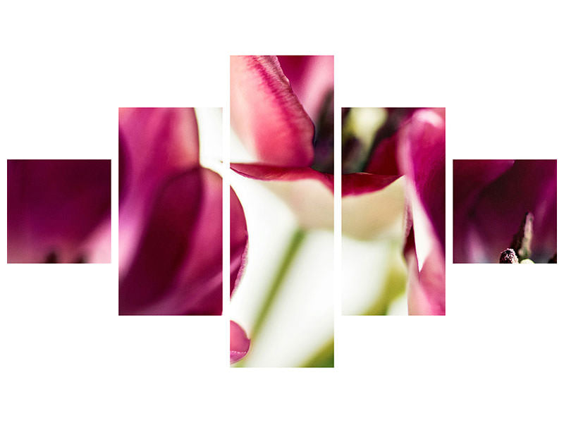 panoramic-3-piece-canvas-print-tulip-iv