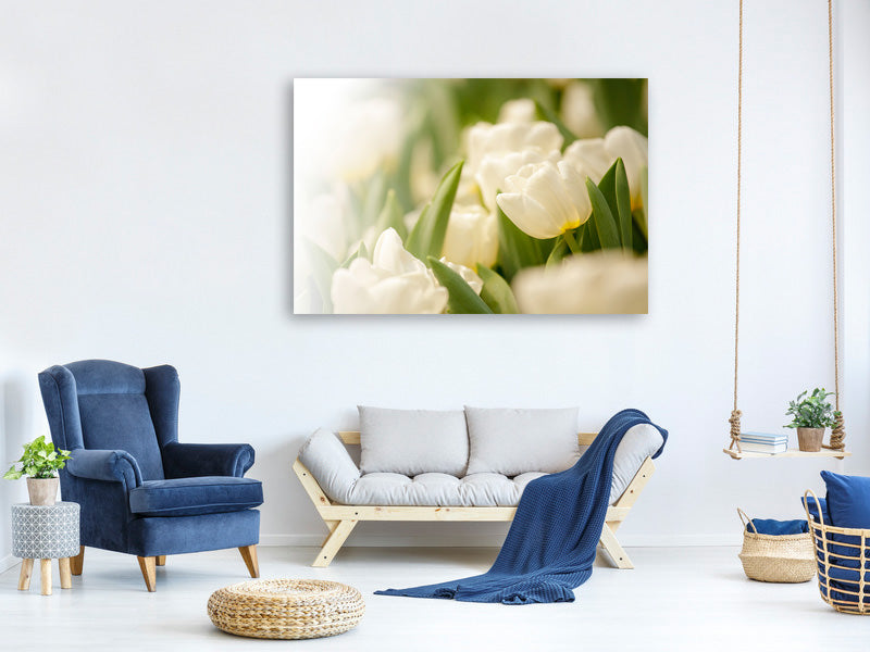 3-piece-canvas-print-tulips-perspective