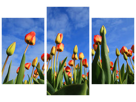 panoramic-3-piece-canvas-print-tulips-tower-to-the-sky