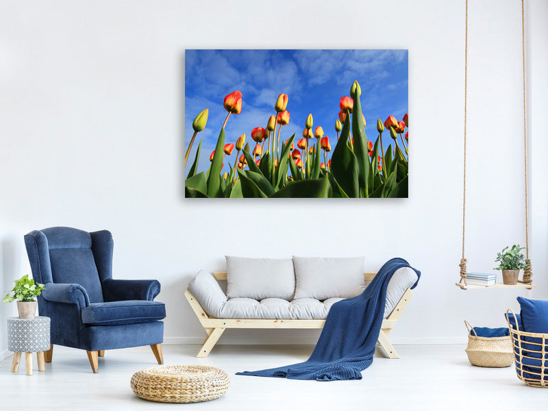 3-piece-canvas-print-tulips-tower-to-the-sky