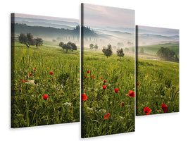 4-piece-canvas-print-tuscan-spring