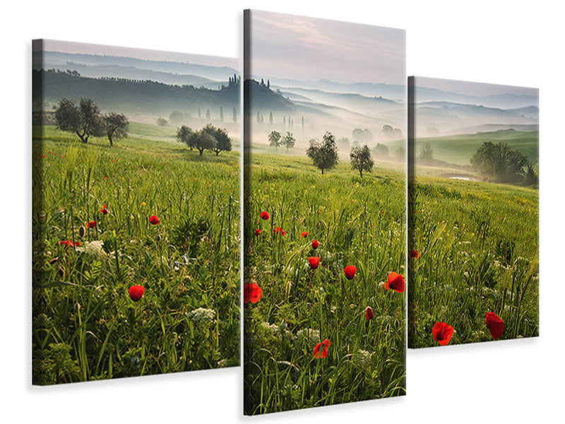 3-piece-canvas-print-tuscan-spring