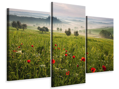 3-piece-canvas-print-tuscan-spring