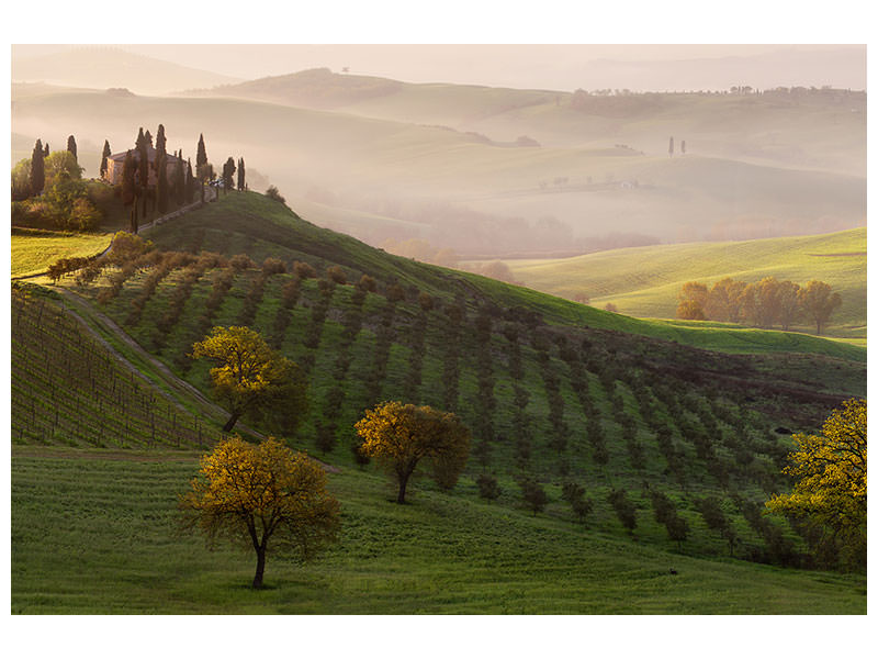 3-piece-canvas-print-tutte-le-strade-portano-a-belvedere