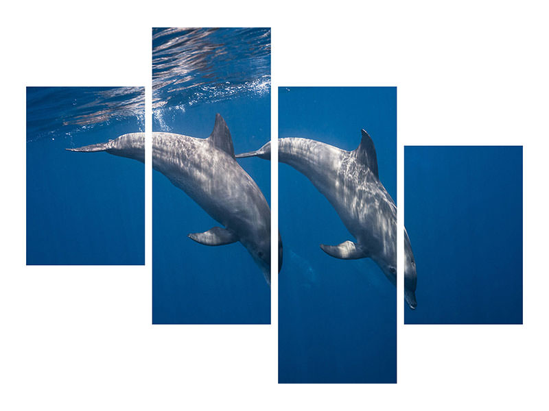 5-piece-canvas-print-two-bottlenose-dolphins