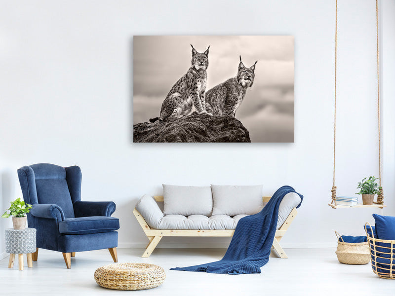 3-piece-canvas-print-two-lynx-on-rock