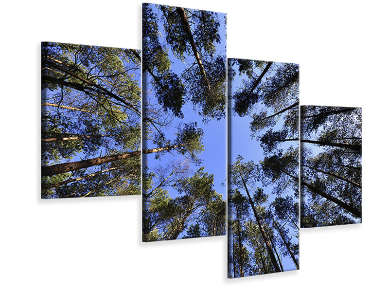 canvas-print-under-high-treetops